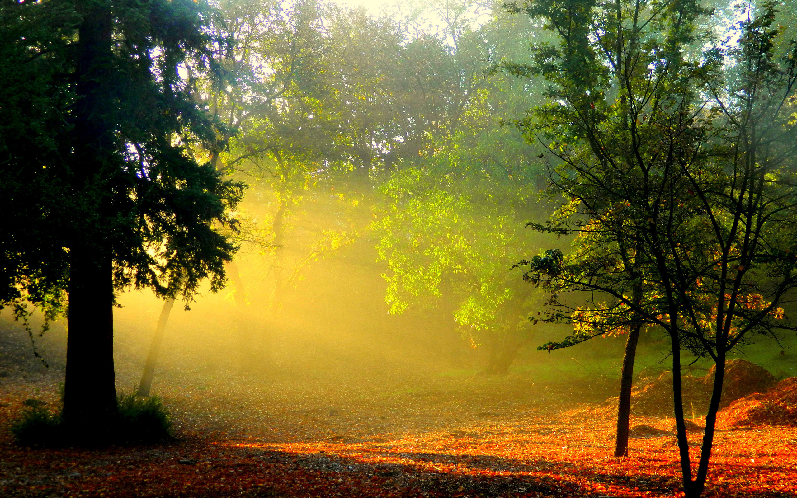 Красивые Фото Природы Осень В Хорошем Качестве